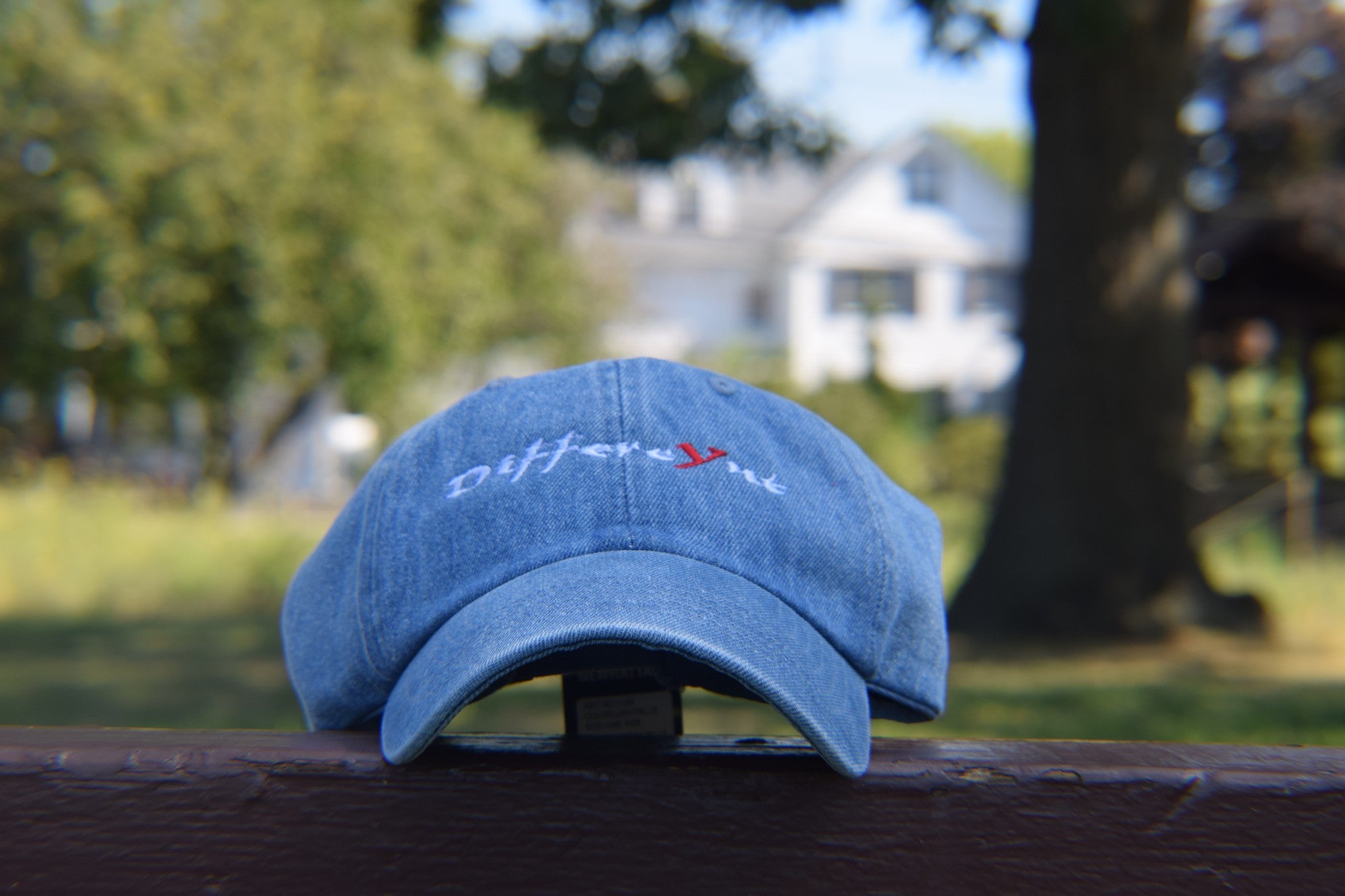 Denim "DiffereYnt" Dad Hat